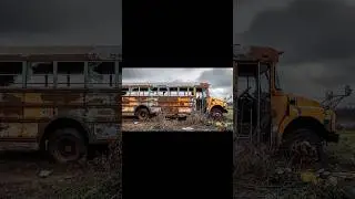 Abandoned Bus Restored Into a Luxury Home in 8 Seconds 🤯✨