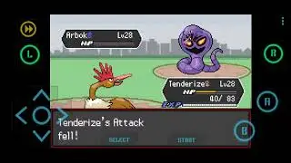 Pok&eacute;mon Radical Red v4.1 (Hardcore): Rival Gary 3