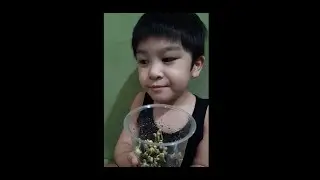 Mung Bean Experiment by Shawn Josh Nikkolai Adriano