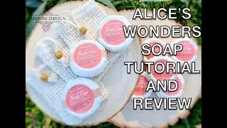 Demonstration using Alice's Wonders Brush Cleaning Soap