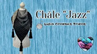 Vous aimez ce degradé? Châle Crochet 