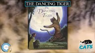 The Dancing Tiger 🐱🦁🐯 EVERYTHING CATS 🐯🦁🐱