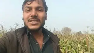 I M BACK IN YOUTUBE #hfy 
