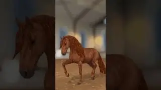 Old x New Gen   #ssorecolor   #horse #sso #starstable #starstableonline  #starstableonlinehorses