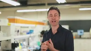 DNA Diets by Gene Food