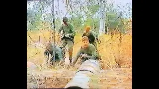 Greener Pastures ( 80's Aussie Grunt pre-marriage educational training short film )