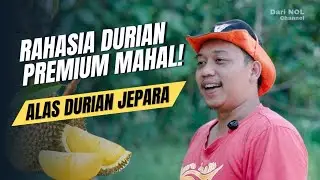 Kenapa Durian Mahal ⁉️ Petani Durian Premium Ini Ungkap Faktanya‼️