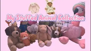 My Stuffed Animal Collection 🧸