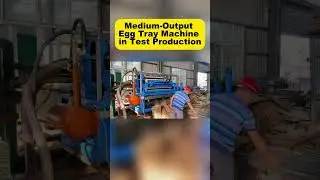 Medium Output Egg Tray Machine in Test Production#eggtraymachine  #eggtray   #pulpmolding  #machine