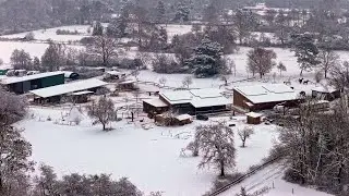 Der Bornwaldhof im Schnee 2026