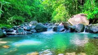Forest River Soft Flow, Mountain Stream Sounds, Sleeping
