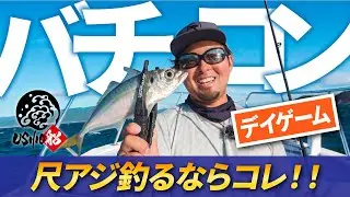 【バチコンアジング】大阪湾デイゲームで尺アジ連発｜USHIO 船　中島成典・村上祥悟