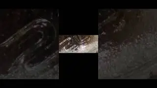 Unexplained biological reaction by using table salt and cold water from the kitchen sink