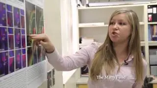 The Matty Fund - John O'Hurley