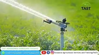 Rain gun sprinkler irrigation for small holder farmers#tast#trending#shorts#shortvideo#trend#farming