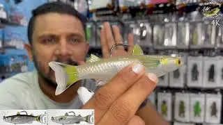 Live Target Mullet SwimBait | 6th Sense Vega Frog & Divine Swimbaits New Products at Tackle Tips