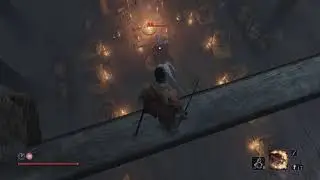 Weird Creature Fight