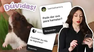 Conversando sobre ALIMENTA&Ccedil;&Atilde;O de hamster e gerbil