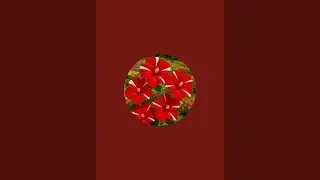 🔴 live tomatoes garden live 🍅ansh chauhan little garden