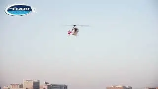 Le Roban B-206 Est-il le Mod&egrave;le R&eacute;duit d&rsquo;H&eacute;licopt&egrave;re le Plus R&eacute;aliste Jamais Con&ccedil;u ?