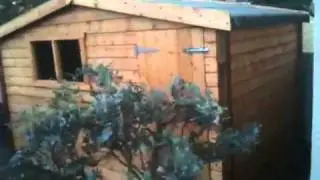 Quality sheds