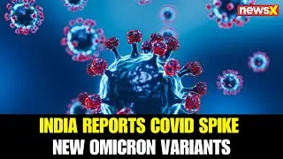 COVID-19 Updates | India Reports COVID Spike New Omicron Subvariants NB.1.8.1 LF.7 Detected