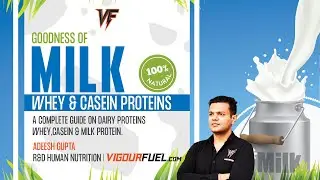 Whey Protein Manufacturing Process: What Isolate, Concentrate, Hydrolysate and Casein? | Vigourfuel