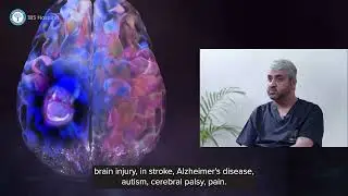 World Brain Health Day | Brain Mapping Guided TMS &ndash; A New Era in Mental Health Care | IBS Hospital