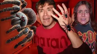 NE PAS SE FAIRE PIQUER PAR L'ARAIGNÉE MAUDITE ! HOMME ARAIGNÉE ! - PINK LILY