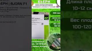 😍 Украсьте сад и получите богатый урожай! 🌱