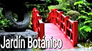 El Jardín Botánico Nacional, Santo Domingo, Republica Dominicana