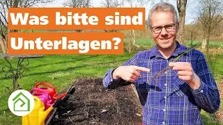 Rosen veredeln Teil 1 🌹Rosen Veredelungsunterlagen aufpflanzen | Was ist eine Veredelungsunterlage❓