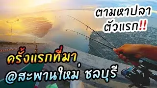 ตกปลาชายฝั่ง ที่สะพานเลียบชายทะเล สะพานใหม่ ชลมารควิถี ชลบุรี (ครั้งแรก)
