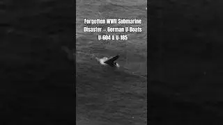 Forgotten WWII Submarine Disaster &mdash; German U-Boats U-604 & U-185