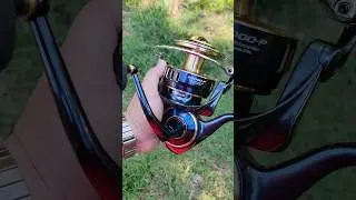 The Biggest, Baddest, and most Powerful spinning reel has arrived - Daiwa Saltiga 25000P 2025 #Daiwa
