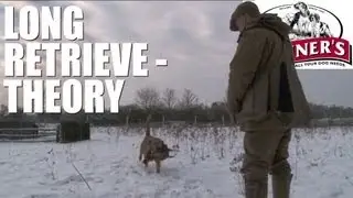 Gundog training tips - How to get your dog to do long retrieves