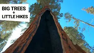 General Sherman Trail, Congress Trail, and Potwisha Campground Trail | Sequoia National Park