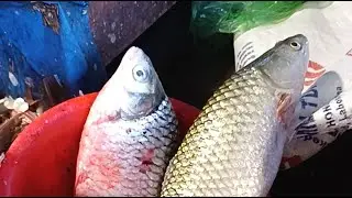 Fishing Hub Bagerhat is live now