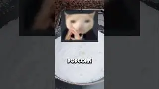 Super Sweet Popcorn Recipe!