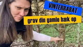 Minigraver - Grav din gamle h&aelig;k op