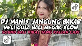 YANG LAGI VIRAL‼️DJ MANIS JANGUNG BAKAR | DJ MELI GULAK BALI NEGAK HONDA SLOW VIRAL TIKTOK 2025