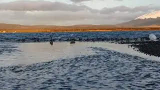 Amanecer en canal se&ntilde;oret
