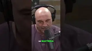 Incredible Eye Treatment Breakthroughs with David Sinclair