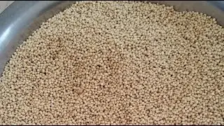 Soulful women #cooking   is live  Relaxing grain cleaning routine | Traditional Indian village life