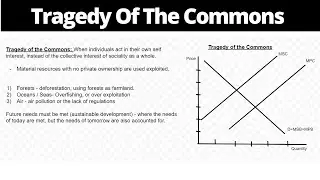 Tragedy Of The Commons - Explained, Explored, Graphed (Market Failure)