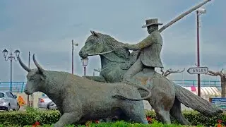 💙 El Caballo de la CAMARGA. Francia🐎🐎🐎🐎