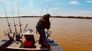 Let&rsquo;s Catch Some Fish (Blue Catfish)