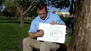 Degenerative Disc Disease and Low Back Pain from the Florida Pain Network