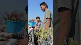 Breaking news 😂 #shorts #funny #comedy #vlog #viral