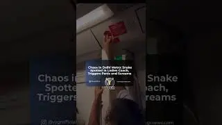Snake Scare in Delhi Metro Ladies Coach | Viral Video Sparks Panic & Reactions
